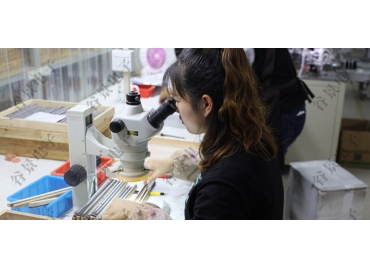 貼片共模電感方向如何區(qū)分你知道嗎？